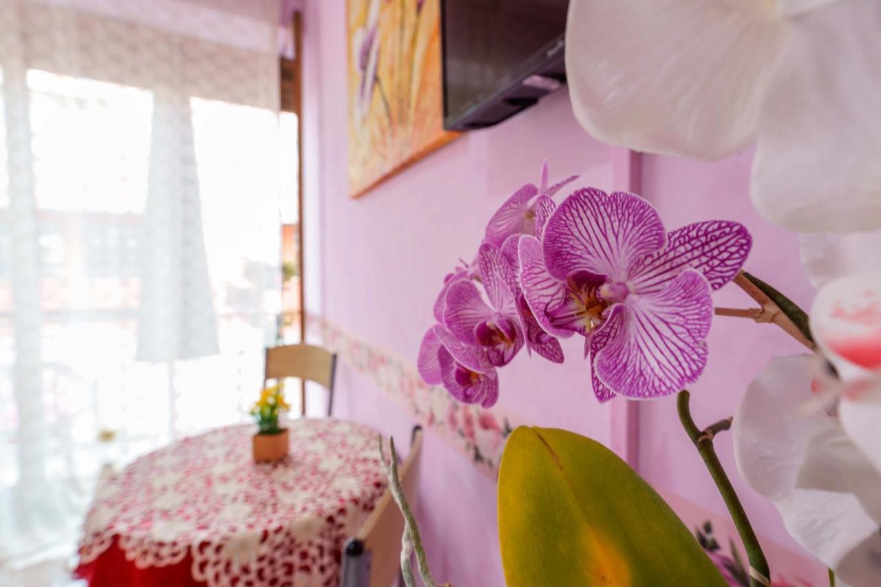 Bed And Breakfast Dolce Vita Bologna Bolonha Exterior foto